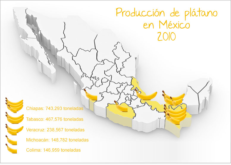 Mapa de la producción de plátano en México